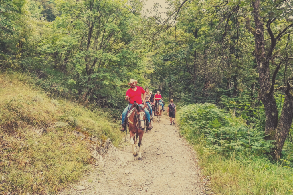a cavallo Via degli dei Firenze Bologna 