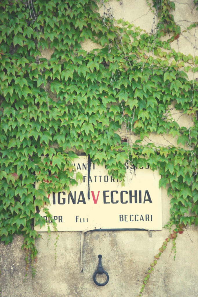 Radda in Chianti